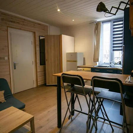 Duplex Cosy-wifi-parking-netflix-lyon 9 *